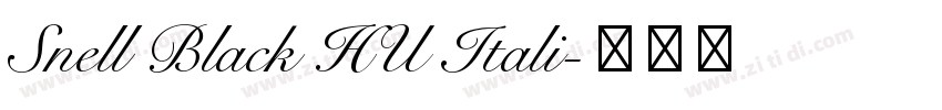 Snell Black HU Itali字体转换